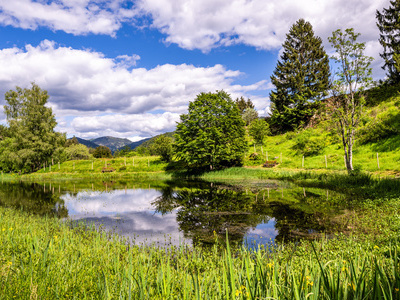 Der Letzbergweiher oberhalb von Sch�nau