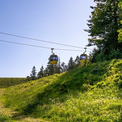 Ein Highlight - die Berg- und Talfahrt mit der Belchen-Seilbahn - Ein Highlight - die Berg- und Talfahrt mit der Belchen-Seilbahn -